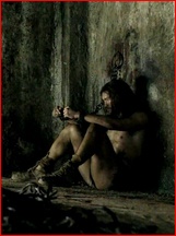 Andy Whitfield nude photo