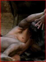Andy Whitfield nude photo