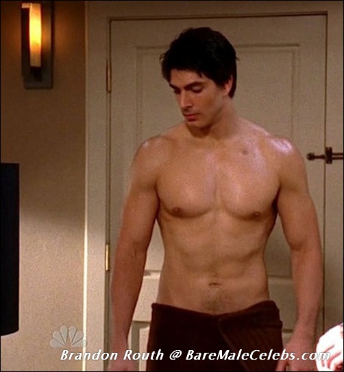 Is brandon routh gay