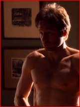 David Duchovny nude photo