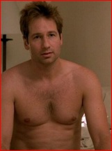David Duchovny nude photo