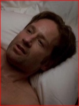 David Duchovny nude photo