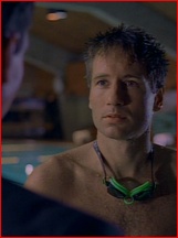 David Duchovny nude photo