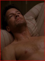 James Denton nude photo