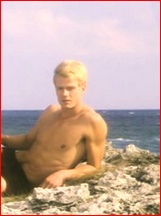 Josh Duhamel nude photo