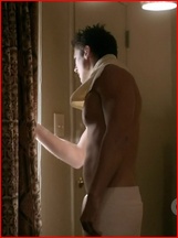 Sean Faris nude photo
