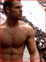 Shawn Roberts nude photo