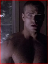 Shawn Roberts nude photo