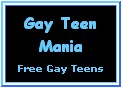 Gay Teen Mania