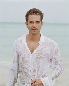 Paul Walker Hq Picture Sample 2