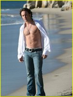 Alex O'Loughlin nude photo