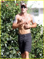 Alex O'Loughlin nude photo