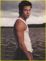 Brad Pitt nude photo