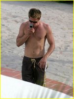 Brad Pitt nude photo