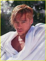 Brad Pitt nude photo