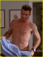 Brian Austin Green nude photo