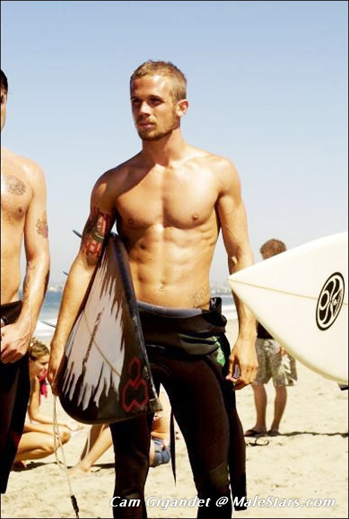 Cam Gigandet Shirtless - MaleStars.com | Cam Gigandet nude photos