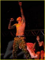 Chris Brown nude photo