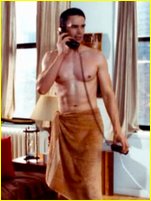 Christopher Gorham nude photo