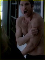 Dylan McDermott nude photo