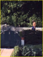 George Clooney nude photo