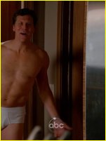 Hayes MacArthur nude photo