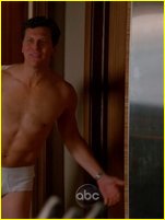 Hayes MacArthur nude photo