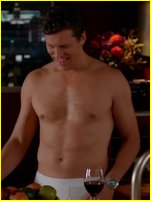 Hayes MacArthur nude photo