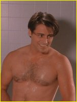 Matt LeBlanc nude photo