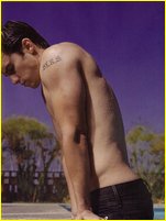 Milo Ventimiglia nude photo