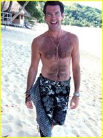Pierce Brosnan nude photo
