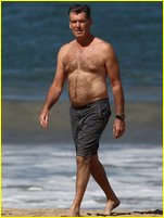 Pierce Brosnan nude photo