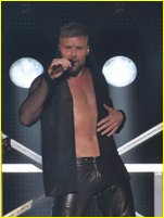 Ricky Martin nude photo