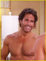 Shawn Christian nude photo