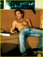 Stephen Dorff nude photo