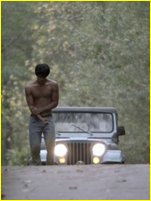 Tyler Posey nude photo