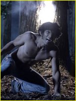 Tyler Posey nude photo