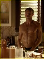 Wilson Bethel nude photo