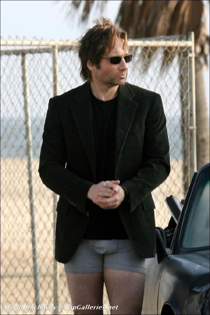 http://www.vipgalleries.net/nude-celebs/david-duchovny/david-duchovny-18.jpg