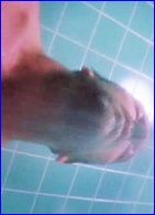 click...