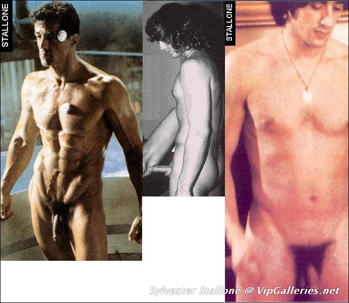 VipGalleries.net Sylvester Stallone :: FreeMaleCelebrityArch