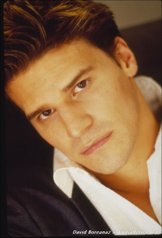 Sheryl Crow Pussy David Boreanaz Sex Scene