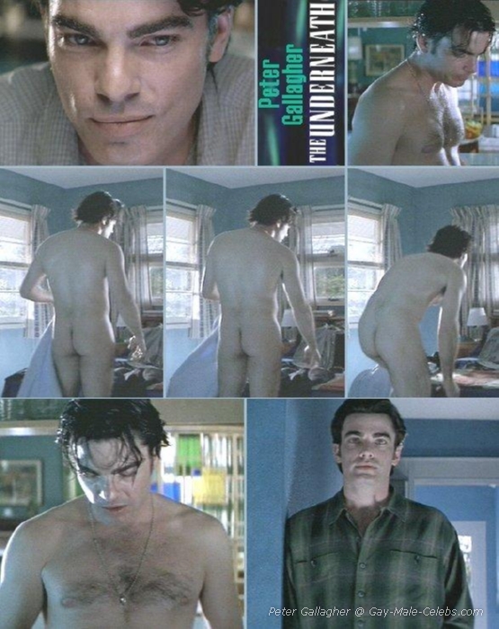 Peter Gallagher Nude - Hollywood Men Exposed! 
